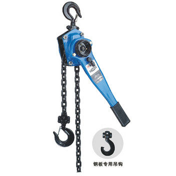 Ton Ratchet Lifting Chain Lever-Hebemaschinen-Flaschenzug der Fernleitungs-Werkzeug-bewertete Lasts-Tragfähigkeits-9